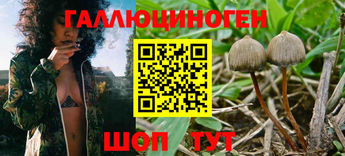 Галлюциногенные грибы мухоморы Саров