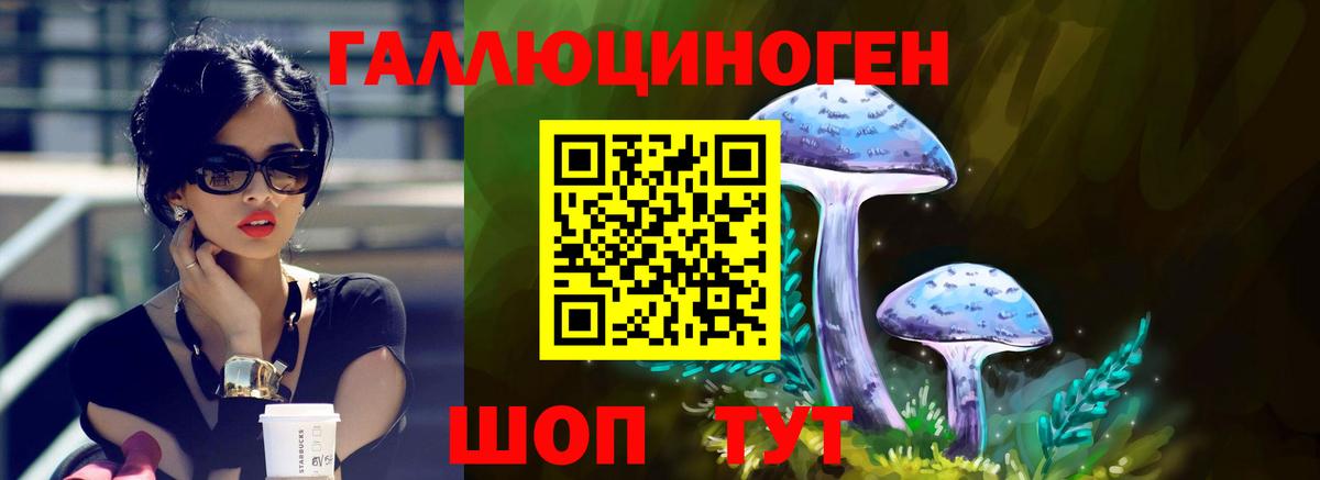 Саров  Галлюциногенные грибы MAGIC MUSHROOMS  Вход с VPN 
